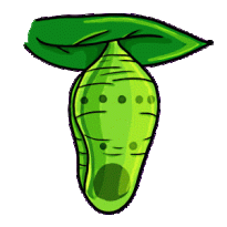 chrysalis-clipart-butterfly-pupa